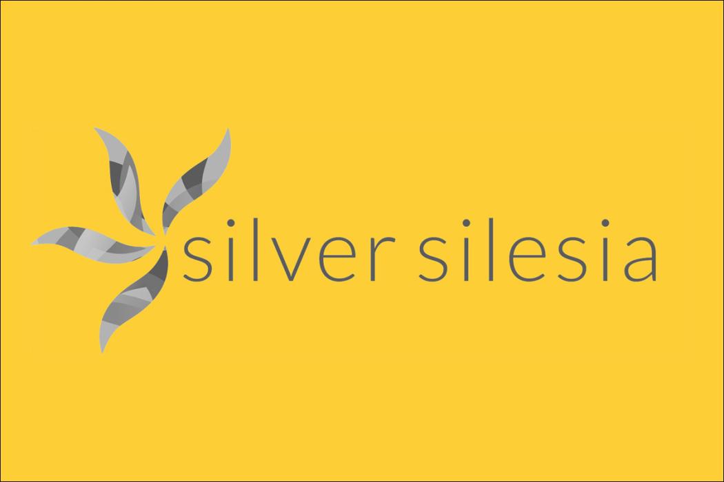  Logo Targów Silver Silesia 