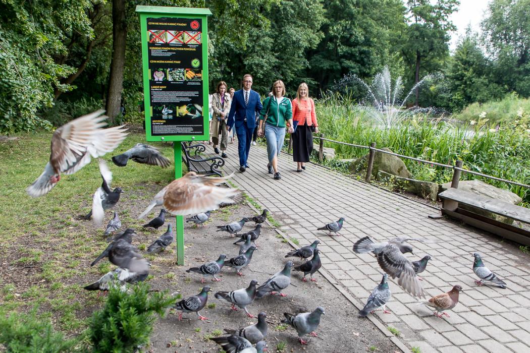  Spacer edukacyjny prezentujący kluczowe inwestycje w Mikołowie związane ze zmianą klimatu. fot. Tomasz Żak / UMWS 