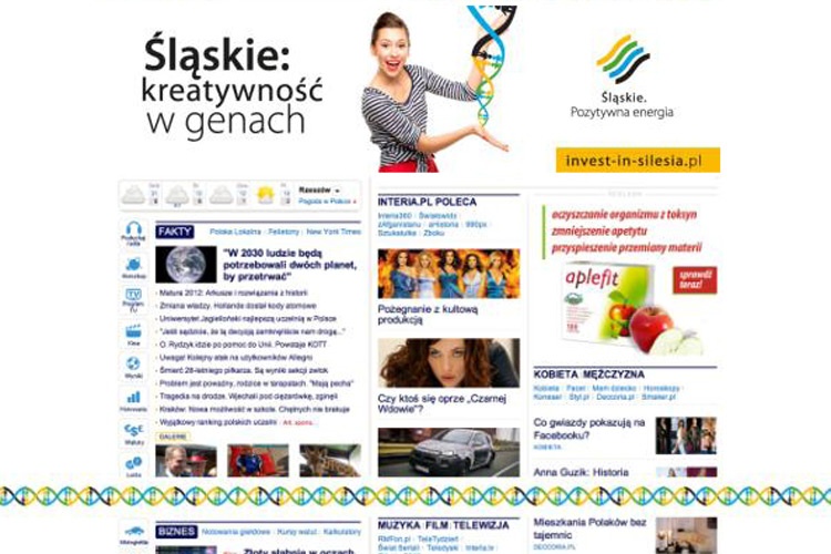  Kampania na portalach internetowych 