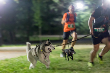 Pucharu Polski w Dogtrekkingu:  Park Śląski