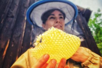  fot. Muzeum "Górnośląski Park Etnograficzny w Chorzowie" 