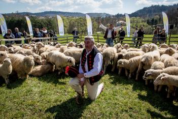  fot. arch. UMWS Tomasz Żak 