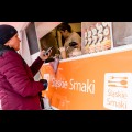  Food Truck Śląskie Smaki. fot. Tomasz Żak / UMWS 