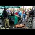  Obchody Święta Niepodległości. fot. Tomasz Żak / UMWS 