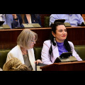  Sesja Semiku Województwa Śląskiego. fot. Patryk Pyrlik / Andrzej Grygiel / UMWS 