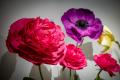 Eksponaty na wystawie. 