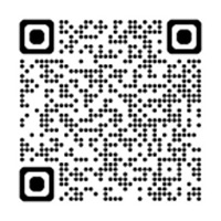 https://4professionals.slaskie.pl/