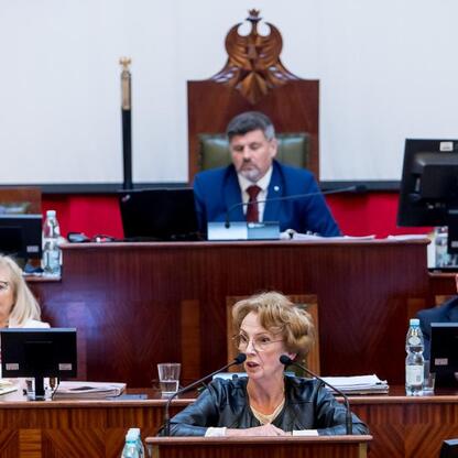 Sejmik Śląska przyjął audyt krajobrazowy i zatwierdził projekty na rozwój turystyki i rehabilitację osób niepełnosprawnych. (wygenerowano przez AI)