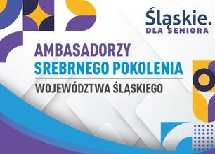 Promocja konkursu "Ambasadorzy Srebrnego Pokolenia Województwa Śląskiego" z 2024 roku. (wygenerowano przez AI)