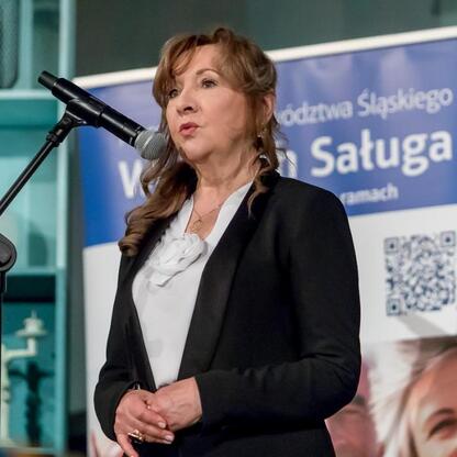 Podczas uroczystej gali w Teatrze Nowym w Zabrzu wyróżniono ambasadory srebrnego pokolenia Województwa Śląskiego. (wygenerowano przez AI)