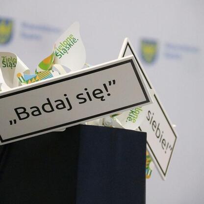 II Dni Zdrowia w Bielsku-Białej, promocja zdrowia i wellness. (wygenerowano przez AI)