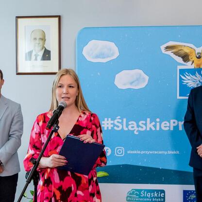 Zwolennicy projektu 