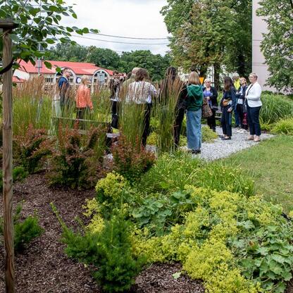 Zbliżenie na zielone przestrzenie i ludzi podczas spaceru edukacyjnego w Mikołowie, związany z Regionalnym Planem Adaptacji do zmian klimatu. (wygenerowano przez AI)