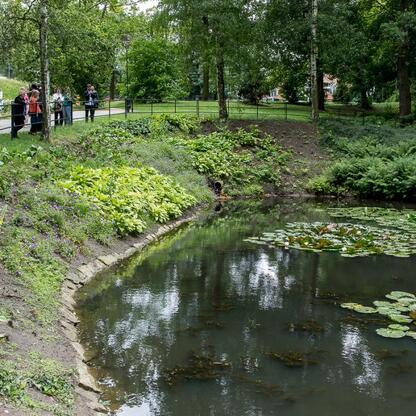Park Kieszonkowy w Mikołowie podczas spotkania o Regionalnym Planie Adaptacji do zmian klimatu. (wygenerowano przez AI)