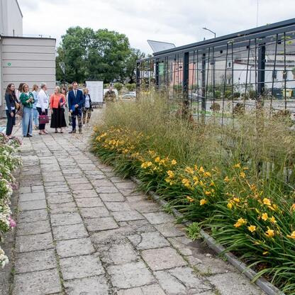 Grupa ludzi uczestniczy w briefingu i spacerze edukacyjnym w Mikołowie, dotyczącym adaptacji do zmian klimatu. (wygenerowano przez AI)