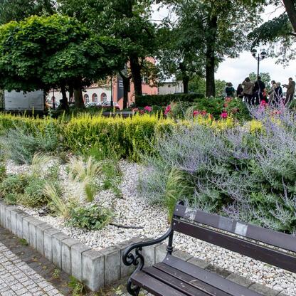 Mikołów, Śląsk: ogród miejski i spacer edukacyjny wokół zieleńców i parków. (wygenerowano przez AI)