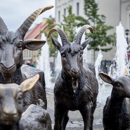 Sculpture of goats in Mikołów's public square, reflecting local culture and climate adaptation efforts. (wygenerowano przez AI)