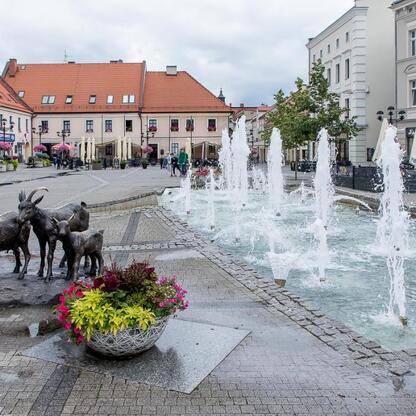 Mikołów, Śląsk: Regionalny Plan Adaptacji do zmian klimatu. (wygenerowano przez AI)