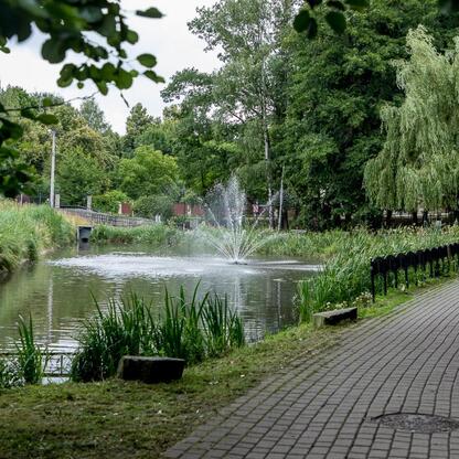Park Kieszonkowy w Mikołowie, zieleń i wodne elementy tworzą spokojną scenerię. (wygenerowano przez AI)