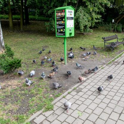 Park w Mikołowie, zieleń i szlak turystyczny. (wygenerowano przez AI)