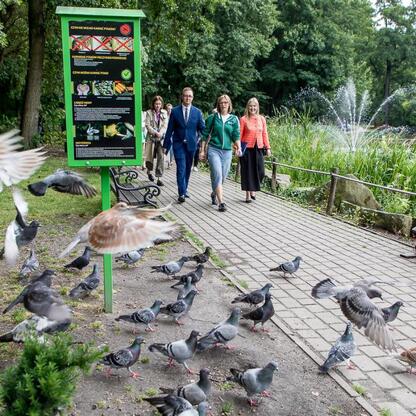 Grupa osób z województwa śląskiego spaceruje po parku w Mikołowie, omawiając działania w ramach Regionalnego Planu Adaptacji do zmian klimatu. (wygenerowano przez AI)