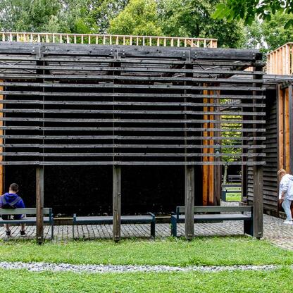 Park edukacyjny w Mikołowie, prezentujący praktyki adaptacyjne do zmian klimatu. (wygenerowano przez AI)
