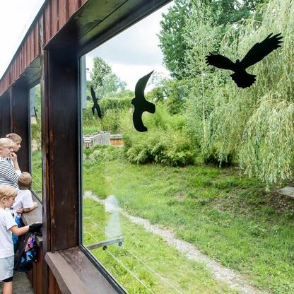 Wizyta w Silesian Zoo: Tygrys amurski Tiber w nowym domu. (wygenerowano przez AI)
