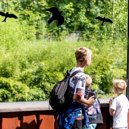 Grupa dzieci obserwuje nowego tygrysa amurskiego Tiber w Śląskim Ogrodzie Zoologicznym. (wygenerowano przez AI)