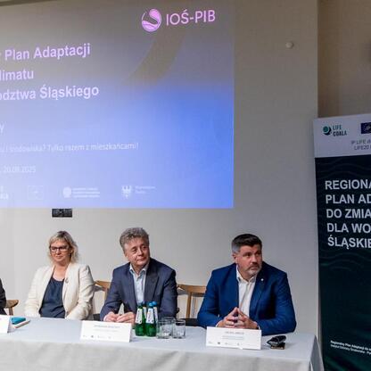 Prasa informuje o konsultacjach nad Regionalnym Planem Adaptacji do zmian klimatu dla Śląska. (wygenerowano przez AI)