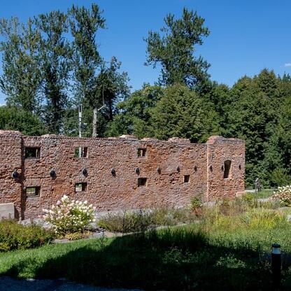 Ruiny z cegły, otoczone zielenią, symbolują dawny fort lub zamek, zachowany w stanie naturalnym. (wygenerowano przez AI)