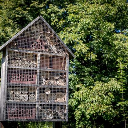 Multi-level insect hotel, promoting biodiversity and climate change adaptation in the Silesian Voivodeship. (wygenerowano przez AI)