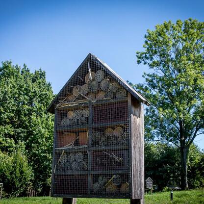 Insekty w domu dla owadów, promującą różnorodność gatunkową i adaptację klimatyczną. (wygenerowano przez AI)