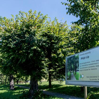 Parkowa tablica informacyjna o pomniku Alei Lip, upamiętniającym zasługi w ochronie środowiska, zlokalizowana w Śląskim parku. (wygenerowano przez AI)