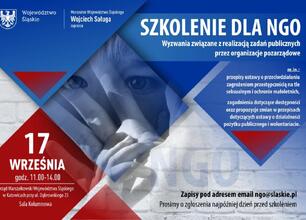 Bezpłatne szkolenie dla NGO w Katowicach, 17.09.2025, 11:00-14:00, Urząd Marszałkowski, ul. Dąbrowskiego 23. (wygenerowano przez AI)
