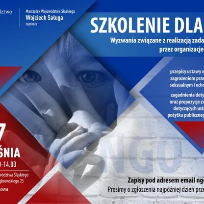 Bezpłatne szkolenie dla NGO w Katowicach, 17.09.2025, 11:00-14:00, Urząd Marszałkowski, ul. Dąbrowskiego 23. (wygenerowano przez AI)