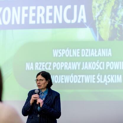 Konferencja o poprawie jakości powietrza w Śląsku. (wygenerowano przez AI)