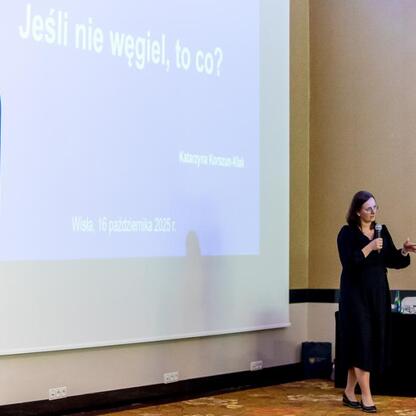 Konferencja o poprawie jakości powietrza w Silesia. Prezentacja na temat antysmogu. (wygenerowano przez AI)