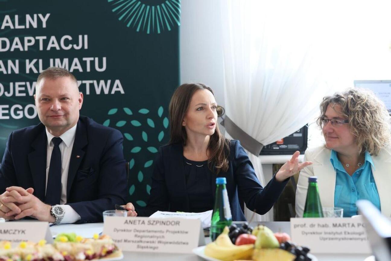 Rafał Adamczyk, członek Zarządu Województwa Śląskiego, podczas wywiadu na konferencji prasowej. (wygenerowano przez AI)