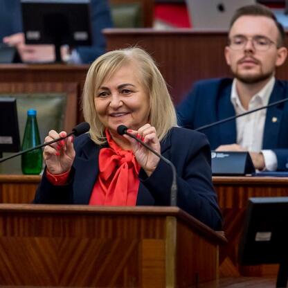 Wojewódzka Sejmik Silesia: Komunikacja i pamięć o Tragedii Górnośląskiej (wygenerowano przez AI)