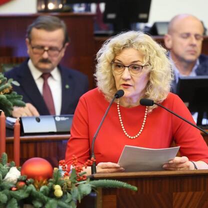 Wizja budżetu Województwa Śląskiego na 2026 rok. (wygenerowano przez AI)