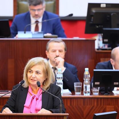 Widoczna jest sesja Sejmiku Województwa Śląskiego, gdzie kobieta przemawia z mikrofonem, za nią siedzą uczestnicy, w tle panele drewniane. (wygenerowano przez AI)