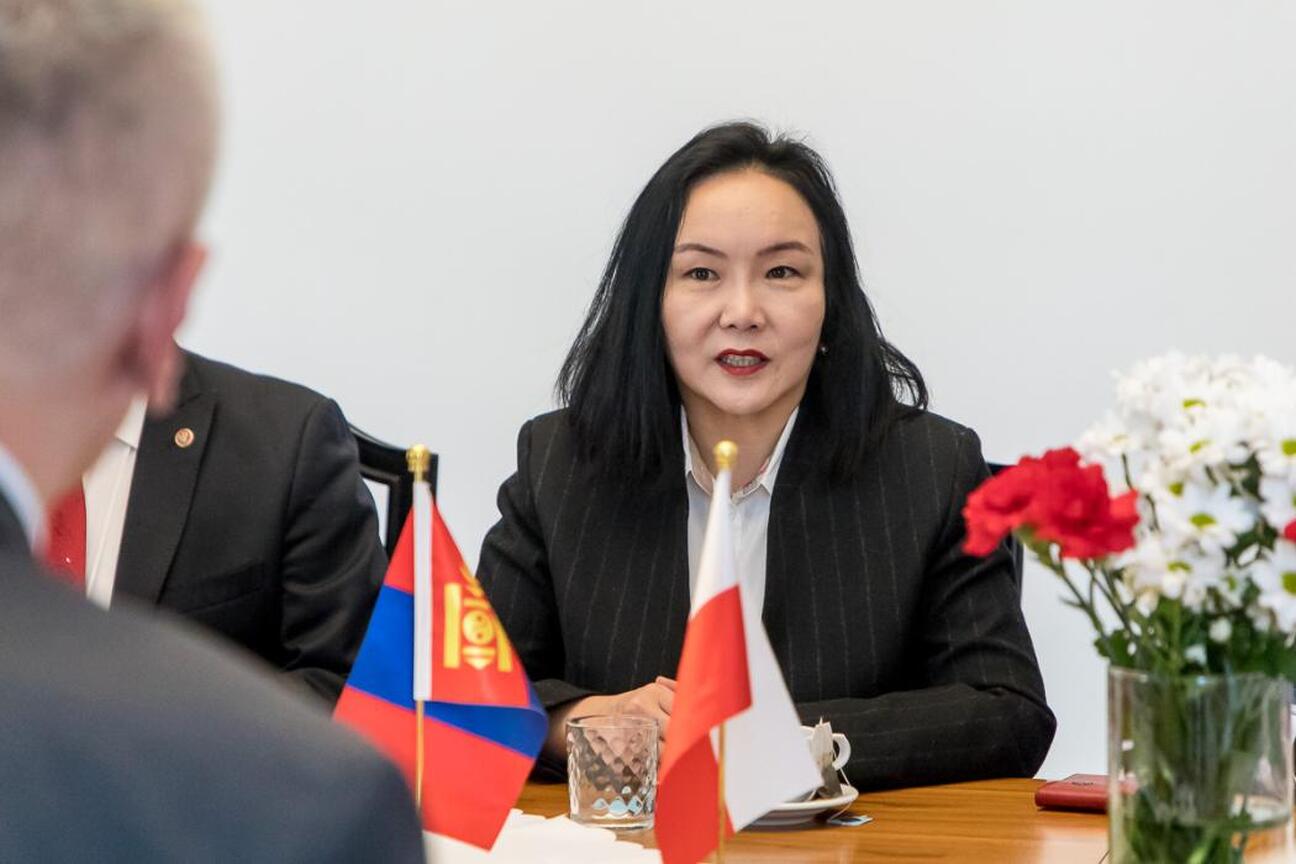 Leszek Pietraszek, Wicemarszałek Województwa Śląskiego, spotyka się z ambasadorem Mongolii, Oyundari Navaan-Yunden, podczas oficjalnej wizyty w Katowicach. (wygenerowano przez AI)