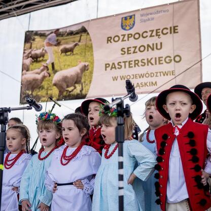 Wystąpienie artystów i kapel góralskich podczas tradycyjnego otwarcia sezonu pasterskiego w Rychwałdzie na Żywiecczyźnie. (wygenerowano przez AI)