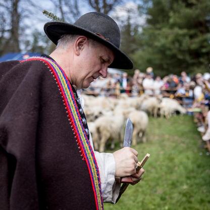 Tradycyjna inauguracja sezonu pasterskiego w Rychwałdzie, Śląsk. Mężczyzna w tradycyjnym stroju wykonuje obrzędy pasterskie. (wygenerowano przez AI)