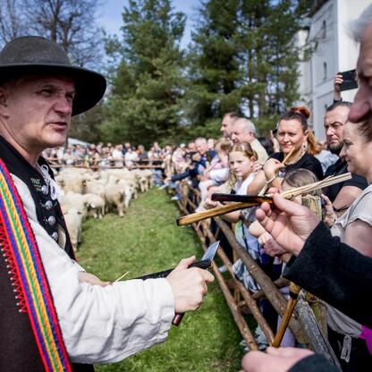 Tradycyjna inauguracja sezonu pasterskiego w Rychwałdzie, zorganizowana w ramach 