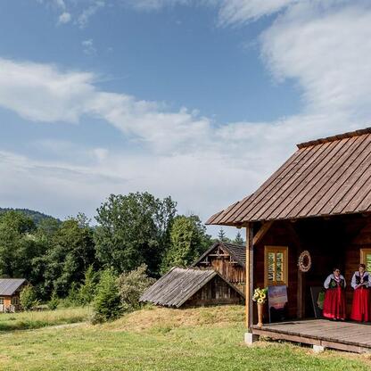 fot. arch. UMWS Tomasz Żak