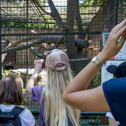 Wizyta w ZOO w Parku Śląskim. fot. Tomasz Żak / UMWS