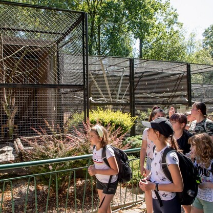 Wizyta w ZOO w Parku Śląskim. fot. Tomasz Żak / UMWS