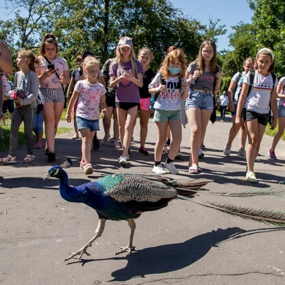 Wizyta w ZOO w Parku Śląskim. fot. Tomasz Żak / UMWS