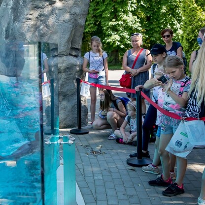 Wizyta w ZOO w Parku Śląskim. fot. Tomasz Żak / UMWS
